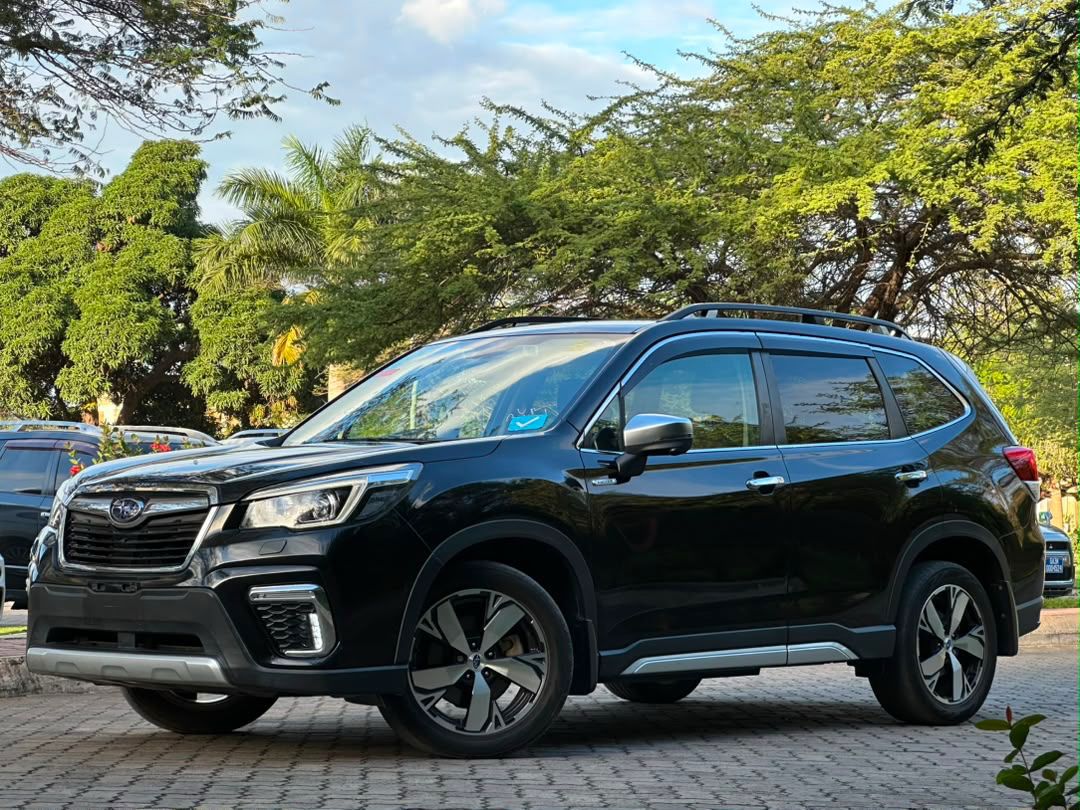 FORESTER thumbnail 3